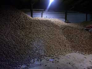 Bulk Potato Storage
